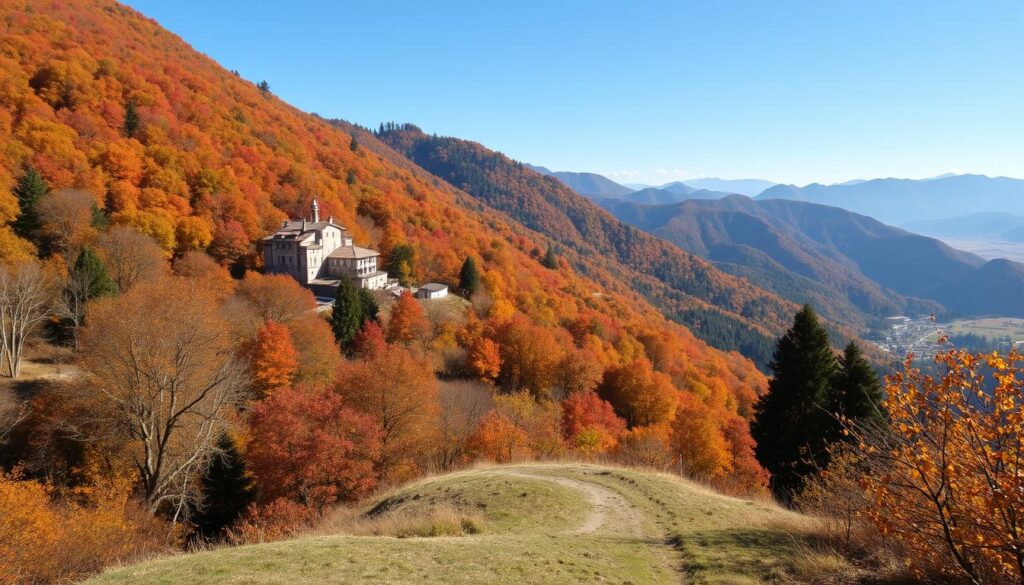 Alba Italy truffle hunting
